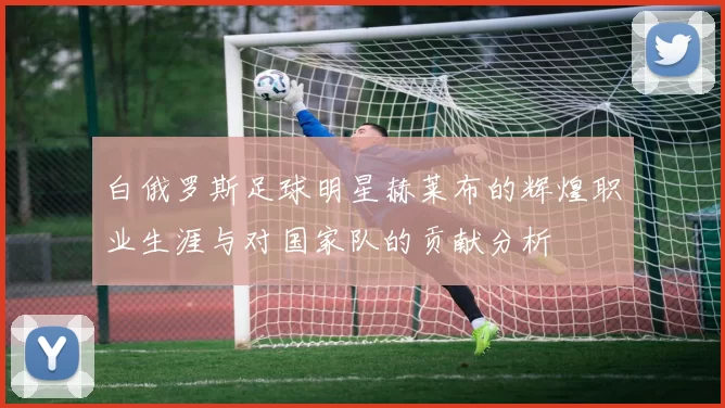 白俄罗斯足球明星赫莱布的辉煌职业生涯与对国家队的贡献分析