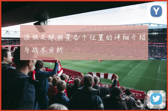 顶级足球明星各个位置的详细介绍与战术分析