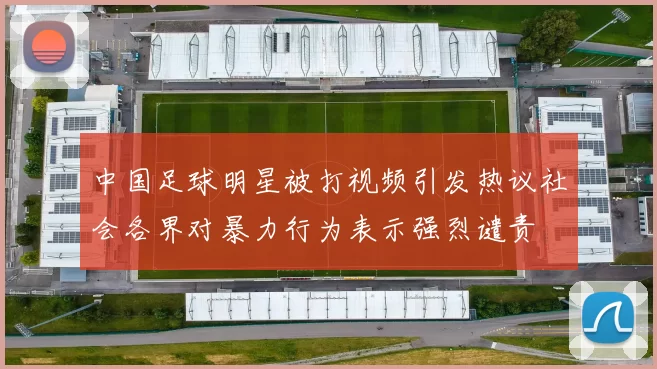 中国足球明星被打视频引发热议社会各界对暴力行为表示强烈谴责