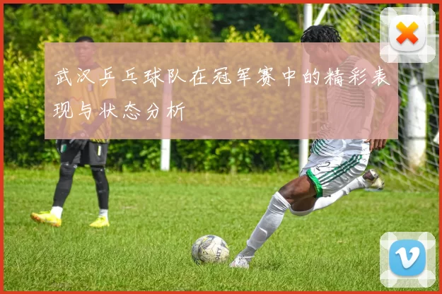 武汉乒乓球队在冠军赛中的精彩表现与状态分析