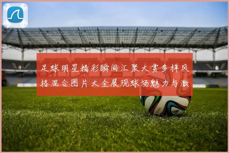 足球明星精彩瞬间汇聚大赏多样风格混合图片大全展现球场魅力与激情