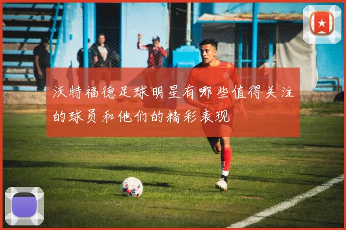 沃特福德足球明星有哪些值得关注的球员和他们的精彩表现