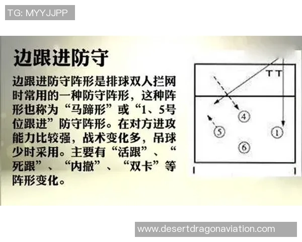 深圳排球队反击战术解析与实战应用探讨