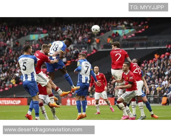 跟随英超球队队名及缩写探索英超文化的底蕴