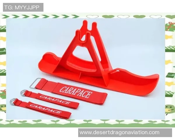 滑雪设备全面解析：从滑雪板到护具，助你提升冬季运动体验